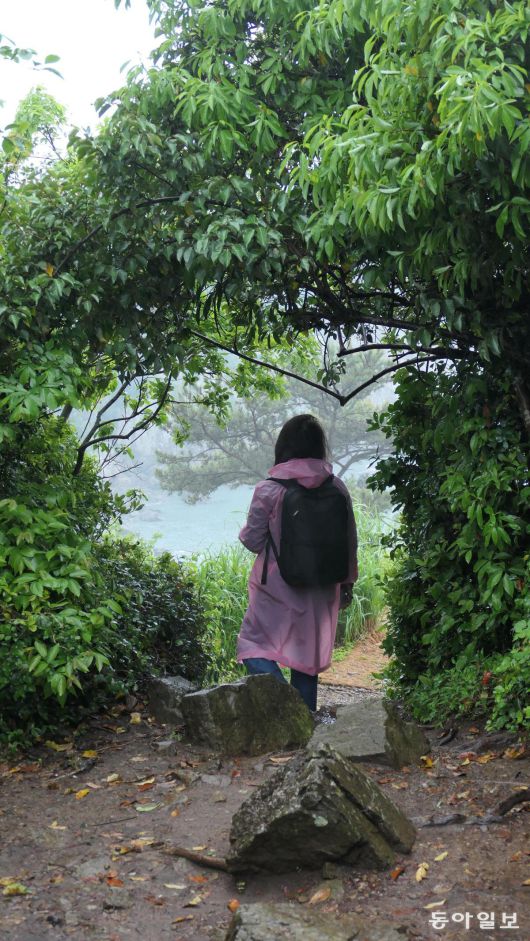 고흥군 쑥섬 꼭대기 ‘별 정원’으로 향하는 원시림 어둑한 길을 가다 마주친 빛. 저 너머 바다가 언뜻 보인다.