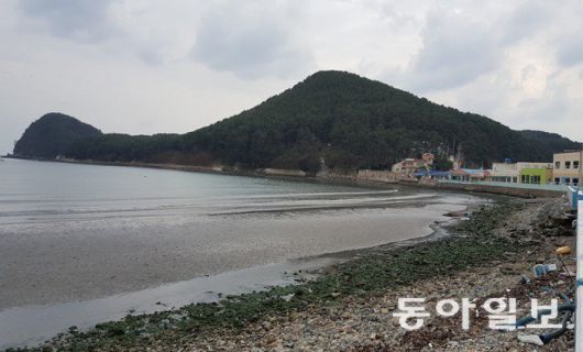 부산해양수산청의 다대포 해안 동측지구 연안정비사업이 시행되기 전인 2015년 다대포 동측 해안의 전경. 김화영 기자 run@donga.com