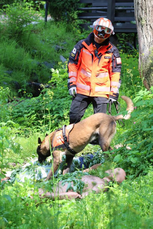 기사와 직접적으로 관련없는 사진. 뉴시스.