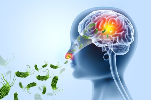 뇌 먹는 아메바 감염 경로, 사진=게티이미지코리아.