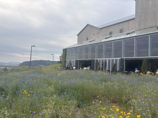 파머스빌리지에서 조식을 즐기는 사람들. 황소영 기자 fangso@donga.com