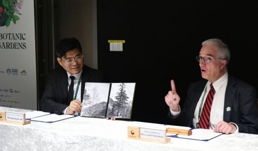 9일 임영석 국립수목원장(왼쪽)과 윌리엄 네드 프리드먼 미 하버드대 아놀드수목원장이 식물자원 공동연구와 산림문화 자료 공유를 위한 협력의향서를 교환했다. 아놀드수목원측은 소장하고 있던 일제강점기 한국의 나무 사진을 국립수목원 측에 전달했다. 두 기관은 올해 광복절에 맞춰 관련 책자를 발간할 예정이다. 국립수목원 제공