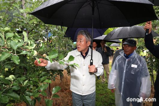 강호동 농협중앙회장이 16일 경북 청송, 김천의 우박 피해 농가를 찾아 피해상황을 점검하고 있다. 농협 제공