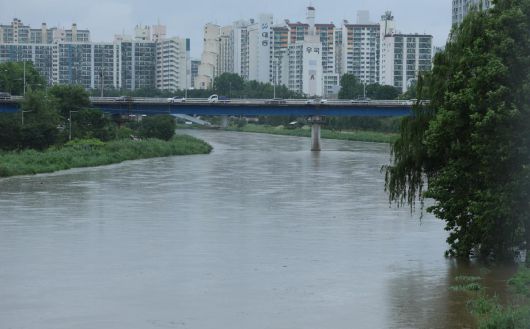 20일 강한 호우로 서울 중랑천의 하천 수위가 상승해 있다. 2025.6.20/뉴스1