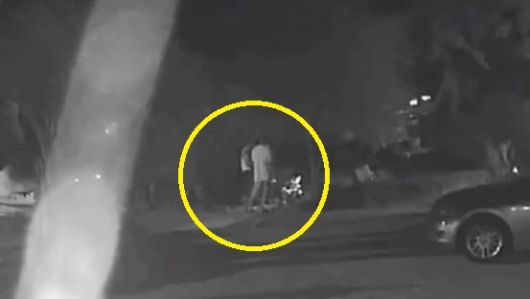 경남 거제에서 현역 해병대 병사 2명이 민간인과 함께 반려견 4마리에게 비비탄총을 무차별 난사한 사건이 발생했다. 1마리는 숨지고 2마리는 안구 손상을 입었다. 경찰은 동물보호법 등 혐의로 입건할 방침이다. 비글구조네트워크 인스타그램 캡처