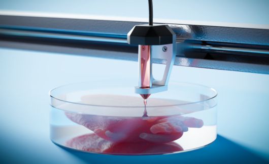 바이오 프린팅 기술로 3차원 장기를 인쇄하는 모습을 나타낸 이미지. 게티이미지코리아