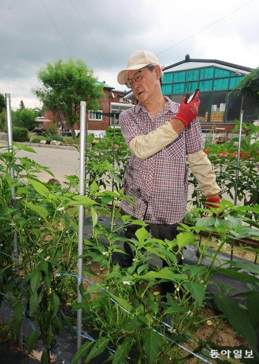 경기 파주시 문산읍 한 마을에 거주하는 김명하 씨(64)가  밭을 가꾸기 전 온몸에 모기 방제 스프레이를 뿌리고 있다. 파주=장승윤 기자 tomato99@donga.com