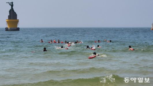 김화영 기자 run@donga.com