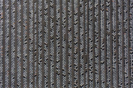 현대자동차아산공장,2015. 조성준 기자 제공