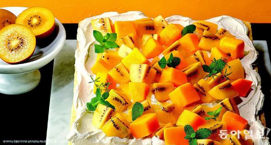 남혜정 기자 namduck2@donga.com