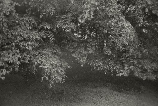 안목출판사 제공