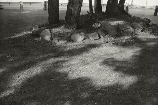 안목출판사 제공