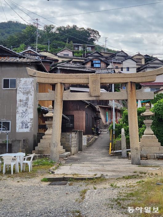 고양이가 많아 ‘고양이의 섬’으로 불리는 오기지마 전경. 마을 곳곳에서 낯가리지 않는 고양이들을 만날 수 있다.