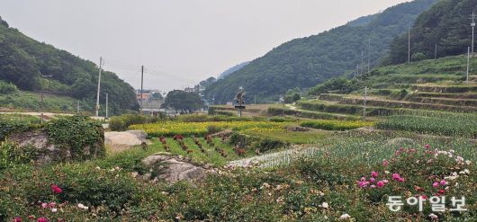 올해 4월 남해 두모마을에 문을 연 ‘파라다랑스’. 남해=김선미 기자 kimsunmi@donga.com