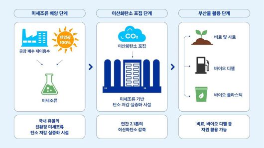 양산 공장의 친환경 탄소저감 실증화 시설 미세조류 배양 과정. 한국필립모리스