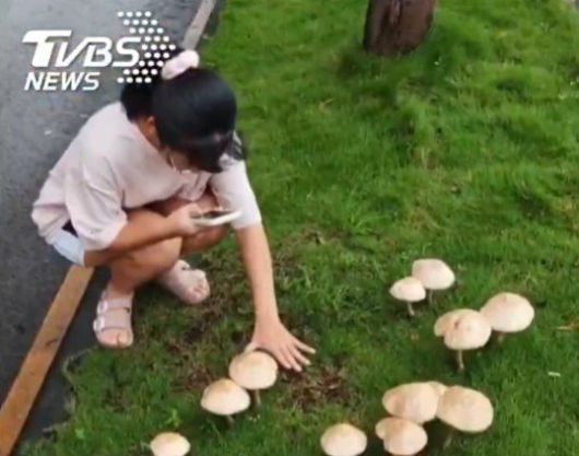 TVBS 공식 SNS 갈무리