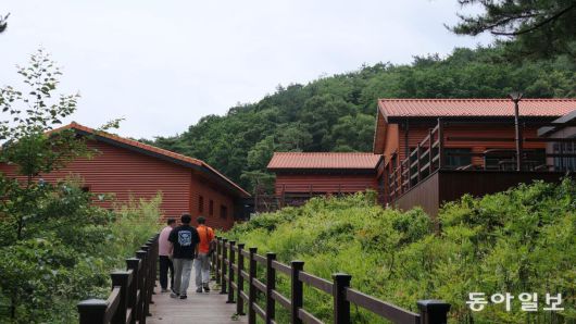 태학산치유센터.