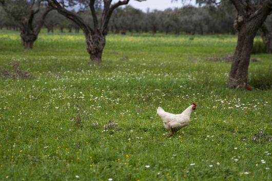 참고 사진. 게티이미지뱅크
