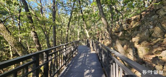 수락휴에서 이어지는 무장애숲길. 김선미 기자 kimsunmi@donga.com