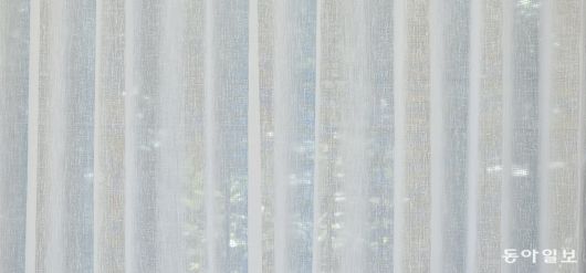 수락휴 객실에서 블라인드를 내리자 하늘과 숲이 들이비쳤다. 아그네스 마틴의 그리드를 연상시켰다. 김선미 기자 kimsunmi@donga.com