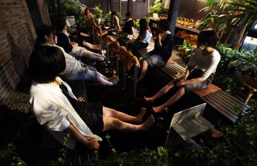 불암산 산림치유센터의 ‘약초 물 치유 프로그램’. 노원구 제공