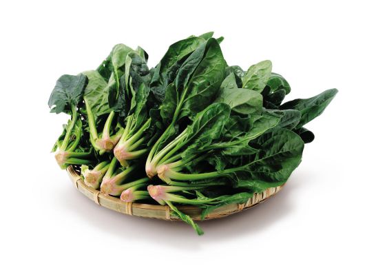 시금치. 동아일보 DB