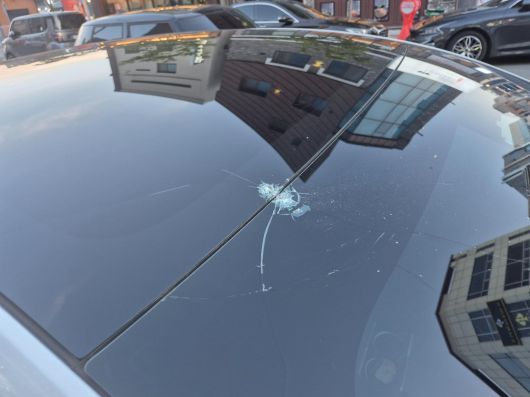 온라인 커뮤니티 ‘보배드림’ 갈무리