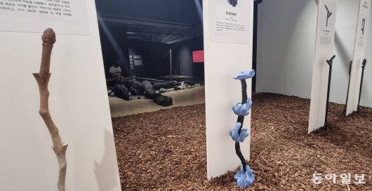 청주공예비엔날레에 전시된, 올해 경북 산불로 전소된 고운사의 잔해와 그 나무들로 제작한 지팡이 작품. 장기우 기자 straw825@donga.com