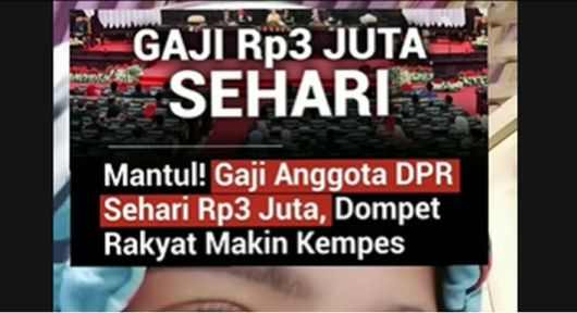 8월 14일 틱톡에 퍼지기 시작한 ‘국회의원 급여 인상설’ 게시물. 소문은 급속히 퍼져나갔고, 이후 관련 동영상이 줄지어 올라왔다.