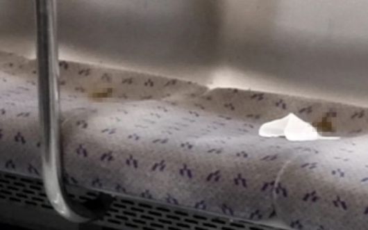 사진출처=보배드림