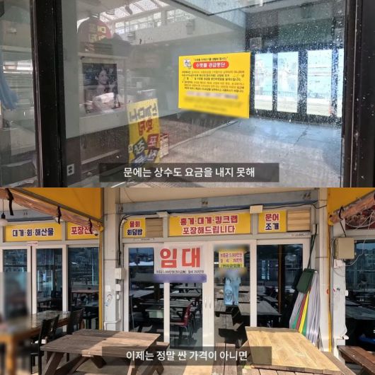 유튜브 채널 @여우대장 갈무리