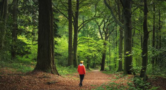 사진=게티이미지코리아.