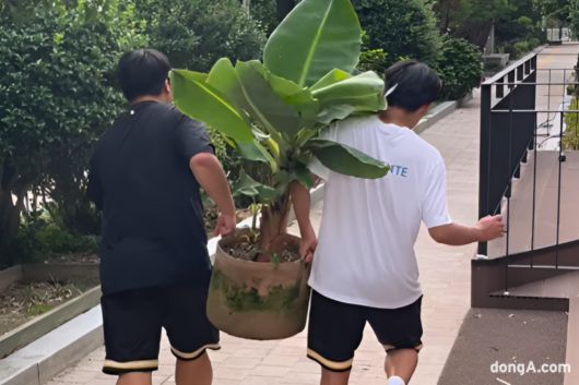 사진=독자제공, 최강주 기자 gamja822@donga.com