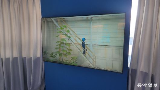 13일 오후 부산 사하구 다대소각장 경비실에 꾸며진 조형섭 작가의 작품 공간에서 영상 작품이 상영되고 있다. 김화영 기자 run@donga.com