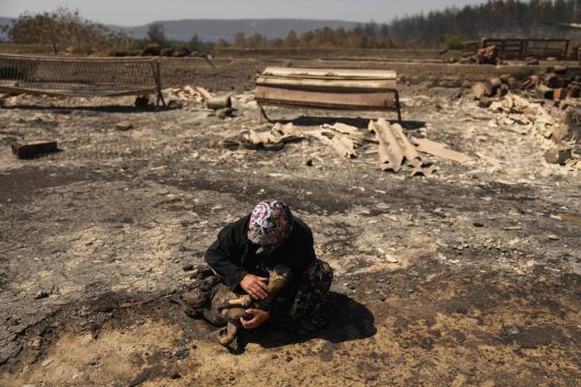 2025년 8월 12일, 터키 북서부 차나칼레 외곽 귀젤리엘리에서 발생한 산불로 죽은 가축 옆에서 지역 농부인 튀르칸 외즈칸 씨(64)가 울고 있다. 이곳은 기후변화로 가뭄일수가 급격히 늘어난 대표적인 지역이다. (출처=AP/뉴시스)
