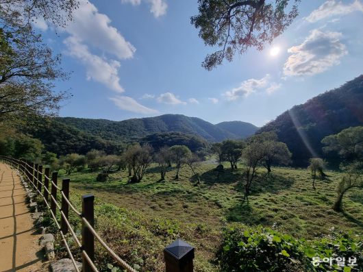 지난달 26일 울산암각화박물관에서 반구대 암각화를 향해 가는 길 주변의 모습. 숲과 바위, 강이 어우러진 자연환경이 그대로 드러나는 풍경이다. 울산=김도형 기자 dodo@donga.com