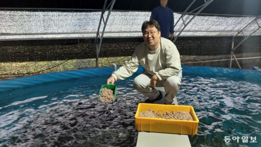고등어 육상 양식 수조에서 먹이를 주는 유철원 대표. 메가플랜은 알에서 갓 나온 아주 작은 치어부터 성장 단계별로 필요한 먹이도 개발했다. 1개 수조에 2만 마리씩 키우고 있다.
