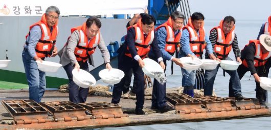 인천 강화군은 5월 26일 주문도 해역에 점농어 42만 마리를 방류했다. 군은 어장 환경 변화와 수산자원 고갈로 어려움을 겪는 어업인을 위해 건강한 치어를 지속적으로 방류할 계획이다. 강화군 제공