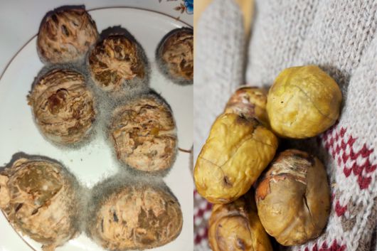 사진=게티이미지뱅크.