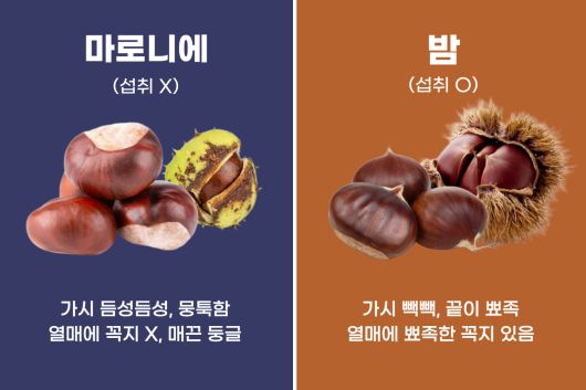 인포그래픽 최강주 기자, gamja822@donga.com
