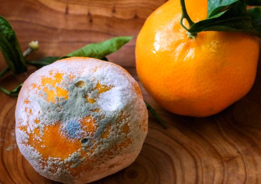 사진=게티이미지.