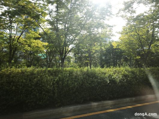 샤오미 15T 프로로 직접 찍은 사진.