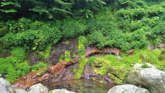 국가유산청 제공