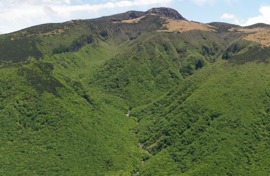국가유산청 제공