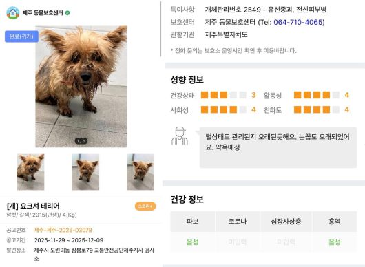 니루의 실종 공고. 현재는 ‘완료(귀가)’ 상태로 바뀌었다. 포인핸드 갈무리