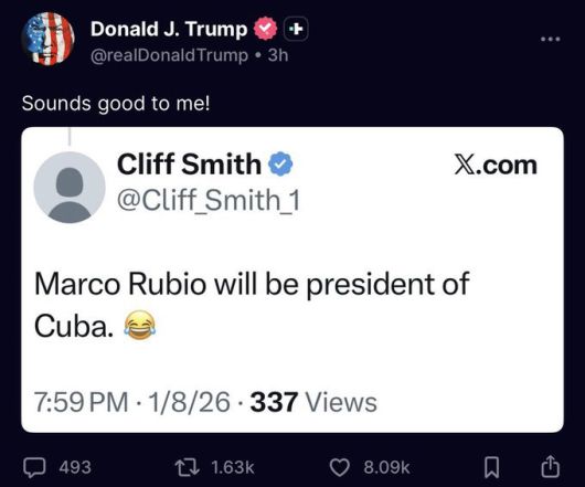 마코 루비오 국무장관의 ‘쿠바 대통령설’ 농담 게시글에 도널드 트럼프 미국 대통령이 “좋은 생각”이라고 반응했다. 엑스 갈무리