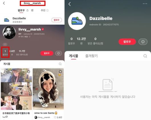 출처-중국 SNS/ 그룹 뉴진스 전 멤버 다니엘의 계정으로 추정되는 계정(오른쪽)