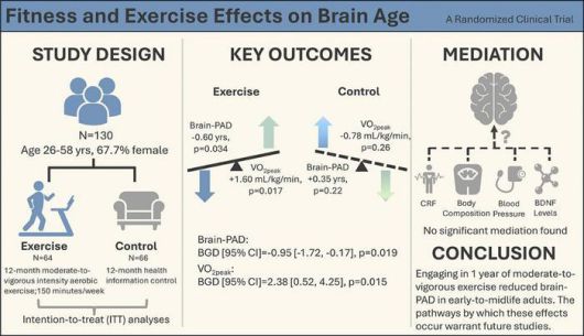 ‘운동과 건강 과학 저널’(Journal of Sport and Health Science) 논문 발췌.
