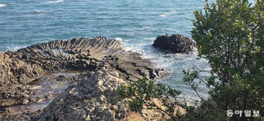 동해안의 지질명소 ‘경주양남주상절리군’ 중 부채꼴 주상절리.