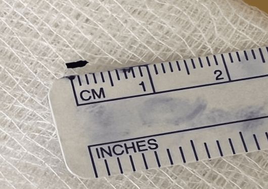 사진=큐리어스 캡쳐